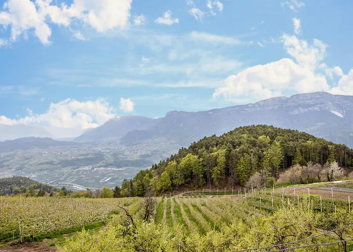 Διαμέρισμα Malgorerhof Mathilde San Genesio Atesino
